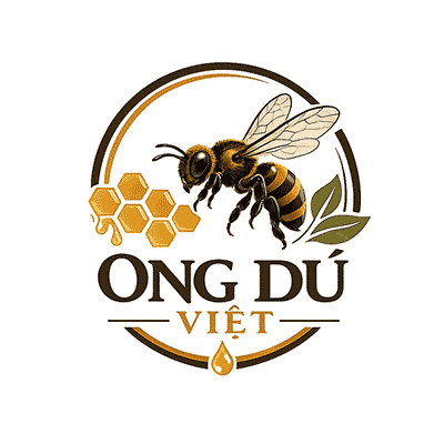 ong dú việt