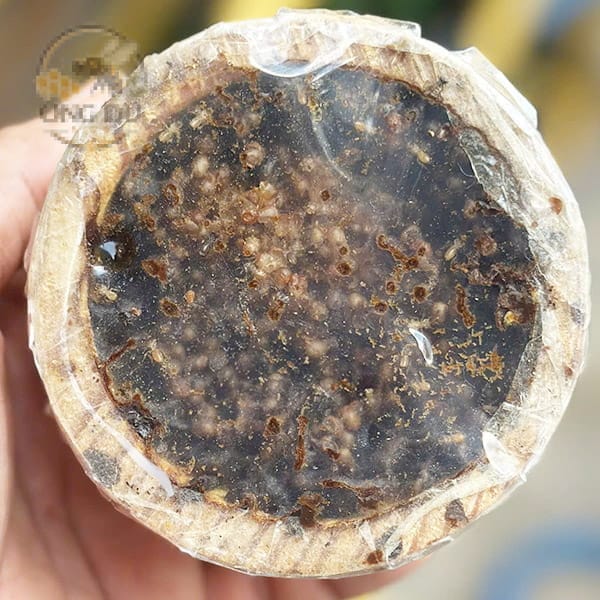 ong chúa khỏe mạnh